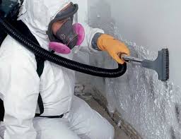 Best Mold Remediation for Vacation Homes  in Clarendon, TX